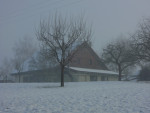 DSCN4699