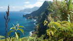 madeira_foto